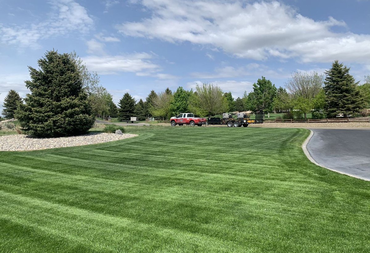 Open green lawn with clean mowing stripes