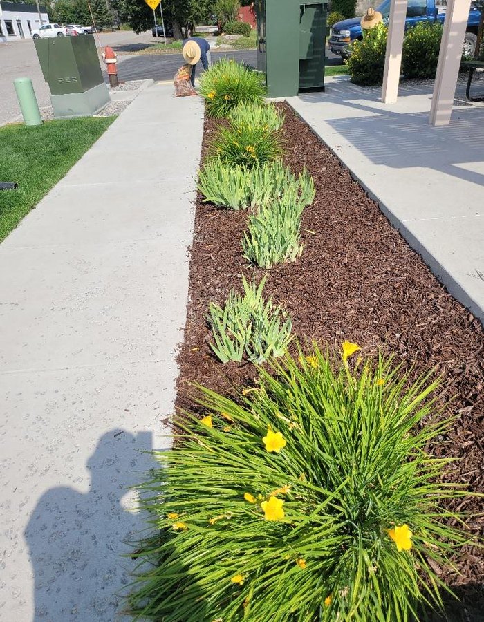 Colorful shrub planting along a walkway installed by J&F