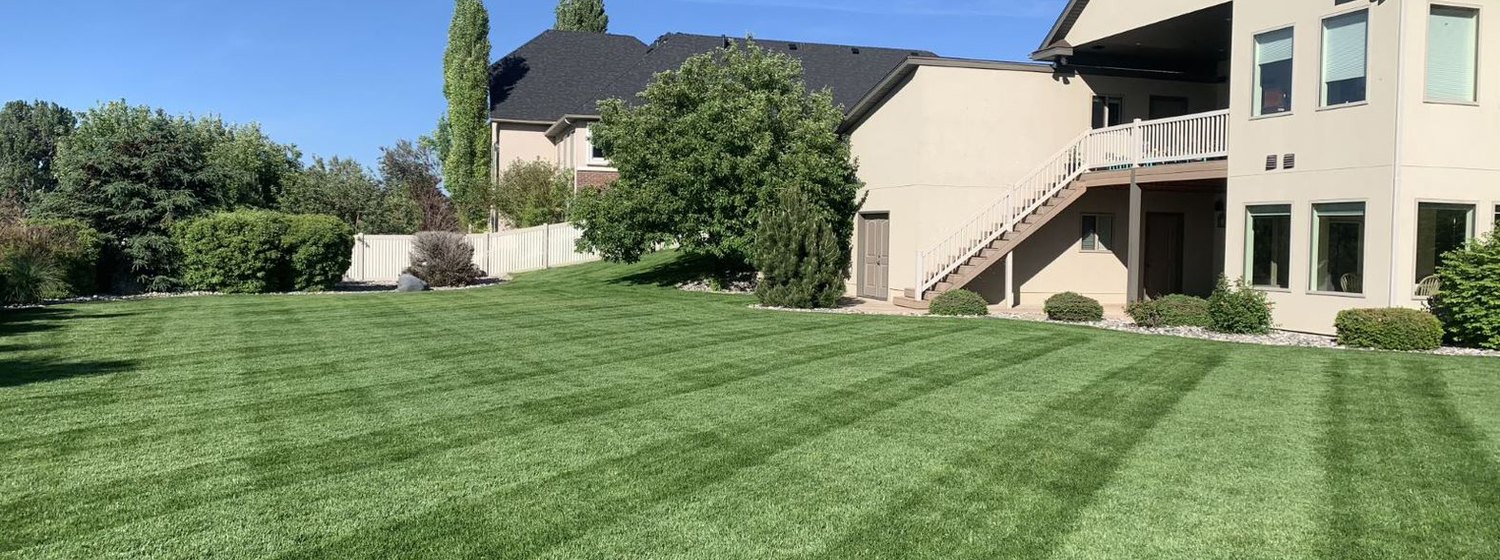 Lush green lawn maintained by J&F